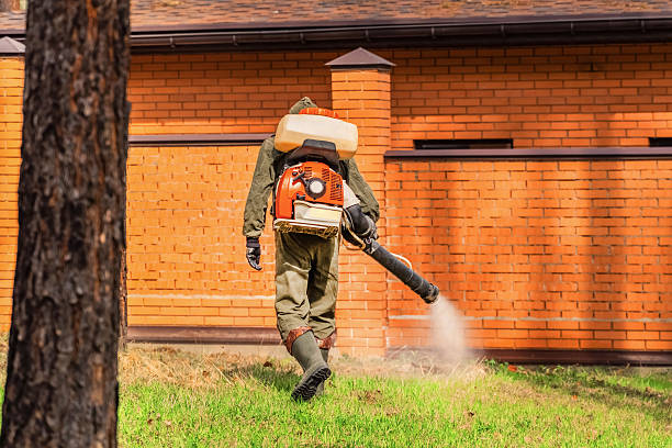 Trusted Cockroach Control service in Littleton, CO - Nex Pest Control
